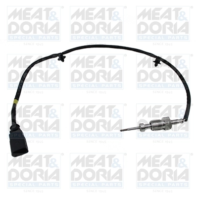 Sensor, exhaust gas temperature